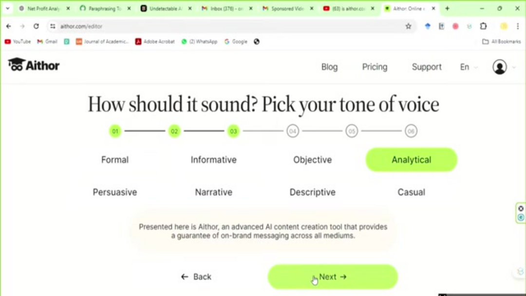 Samwell AI界面显示论文生成过程和自定义选项
