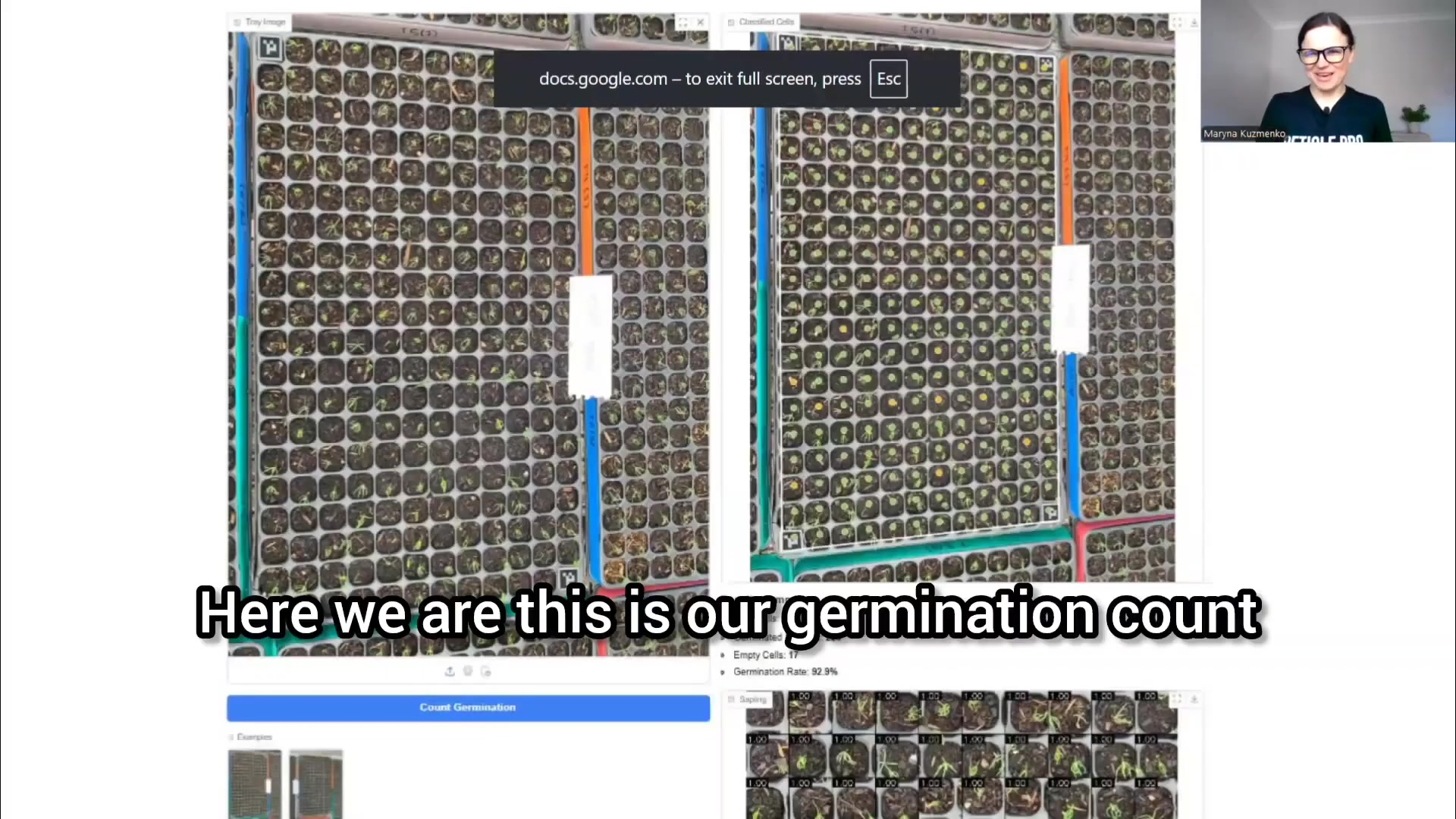Agricultural workers manually inspecting seedling trays in greenhouse