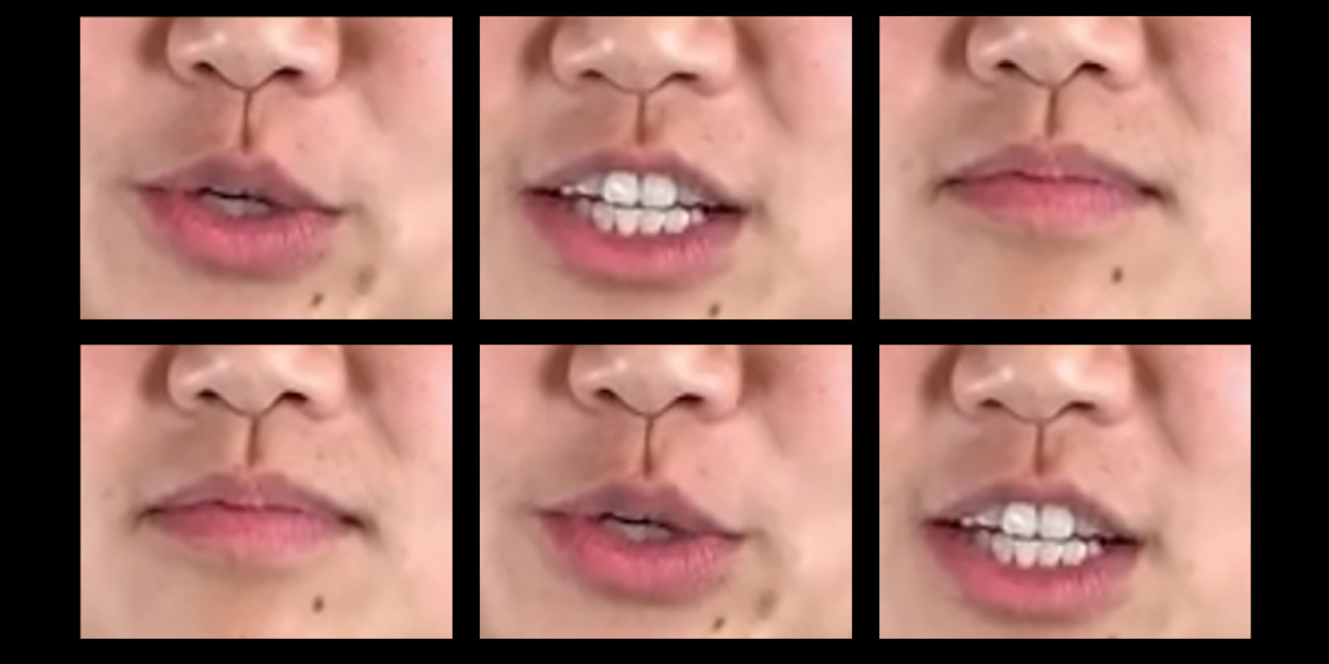 高级AI模仿技术组件和工作流程