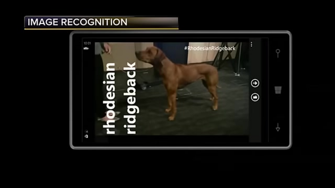 Инфографика, обобщающая применения распознавания изображений в различных отраслях, включая розничную торговлю, здравоохранение и безопасность