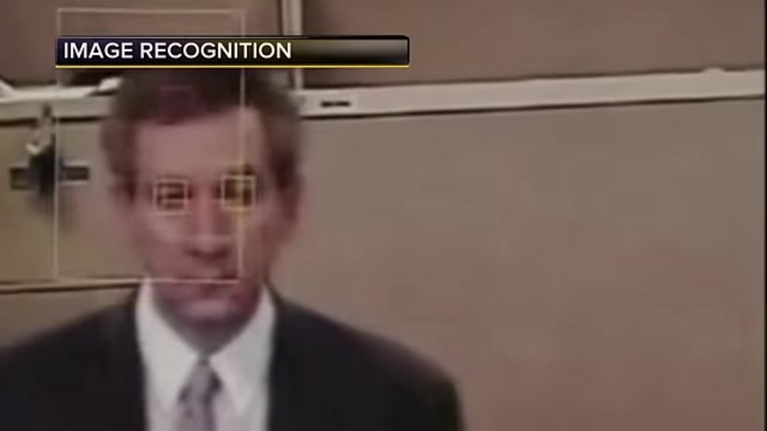 Система ИИ, идентифицирующая несколько пород собак с процентами точности