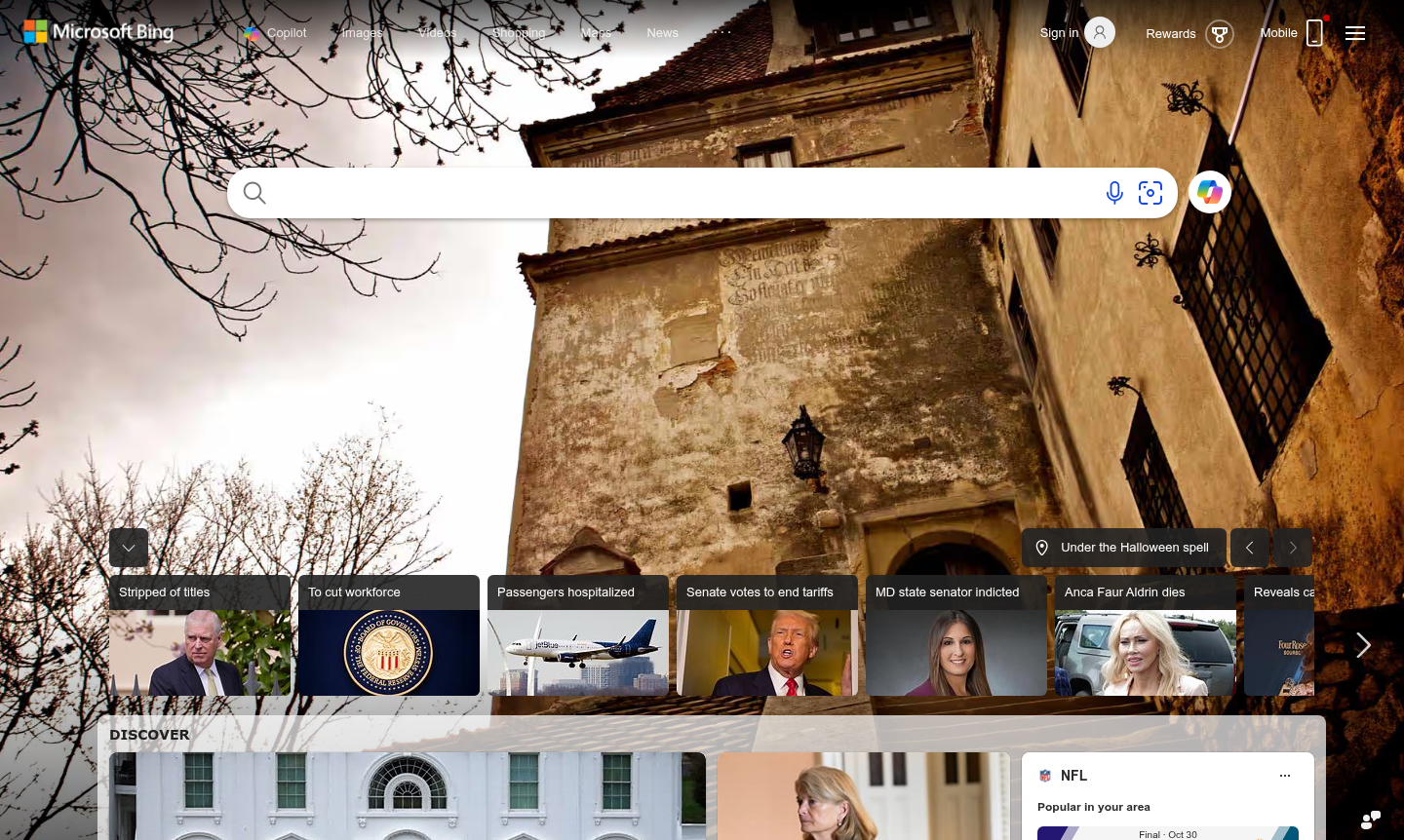 Bing Visual Search thumbnail illustrating image-based search functionality