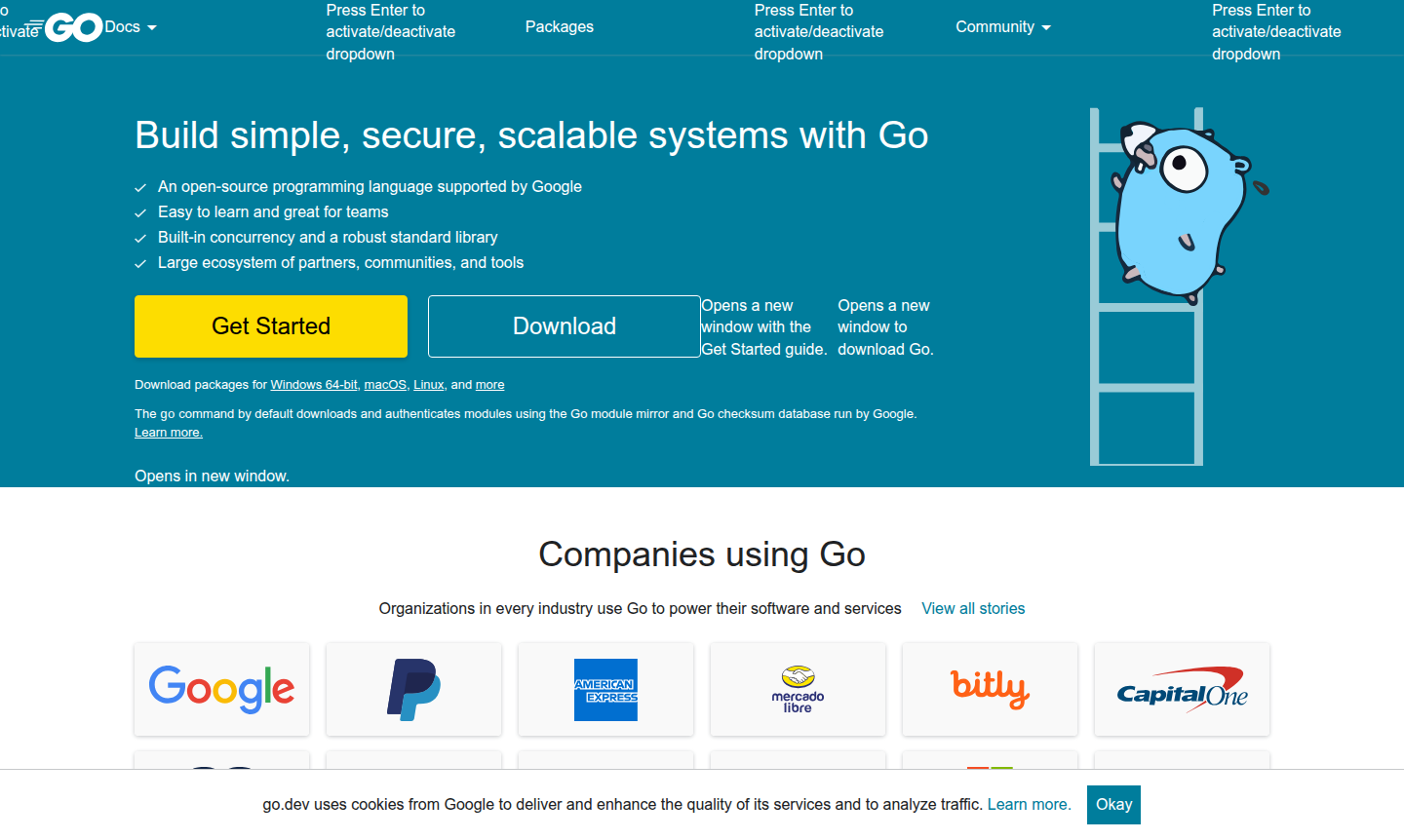 Go Programming Language thumbnail