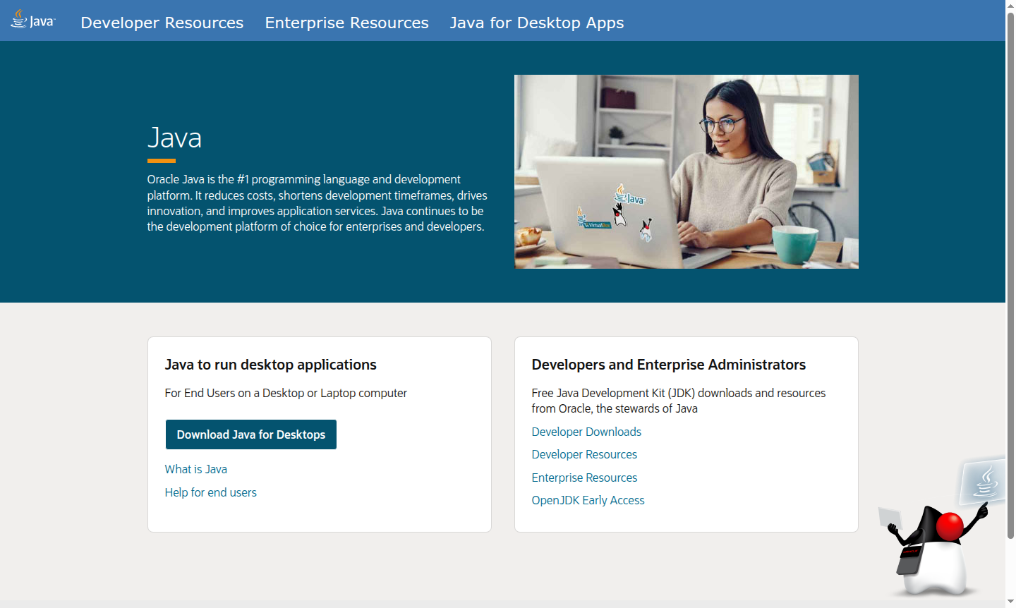Java development platform thumbnail