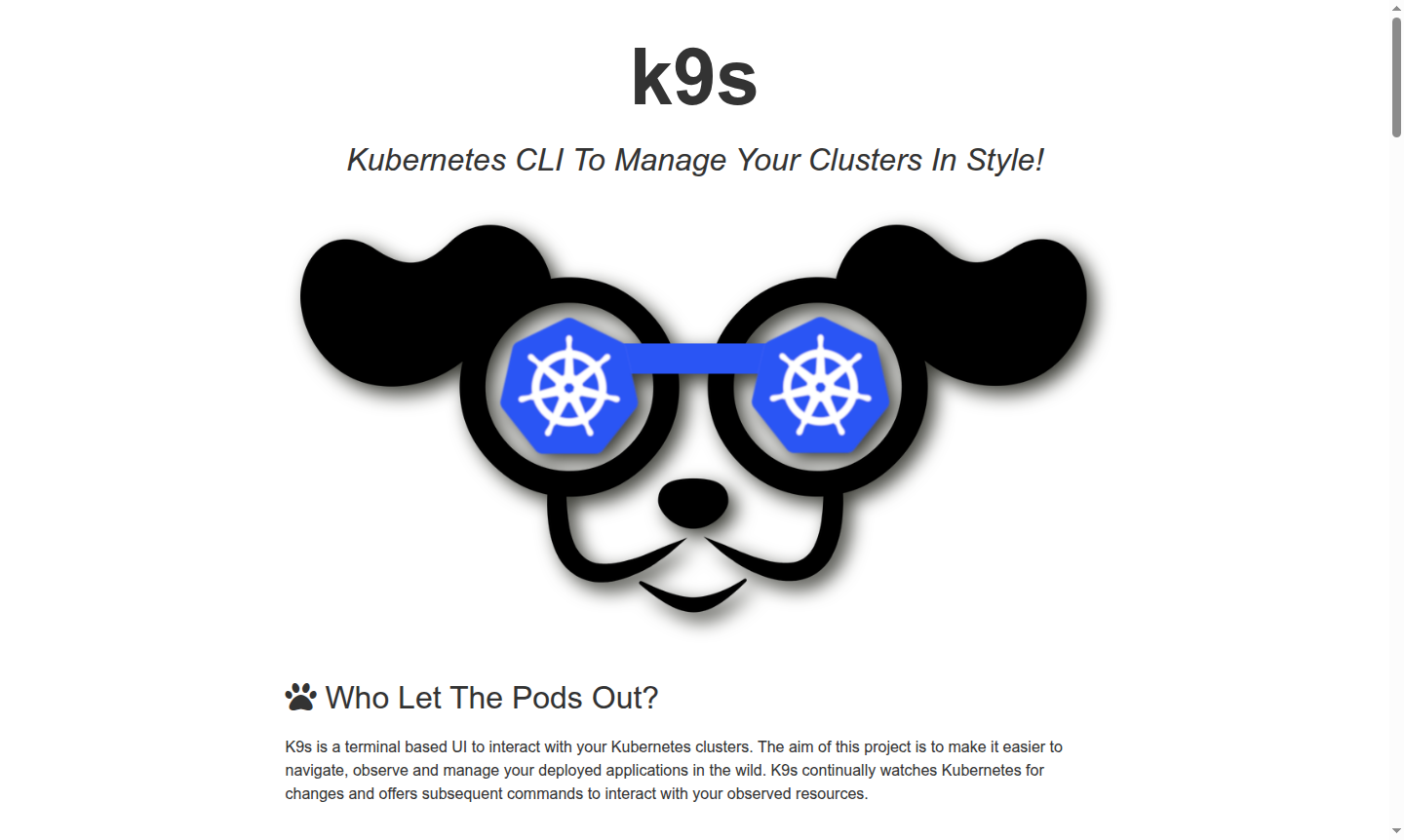 K9s terminal interface