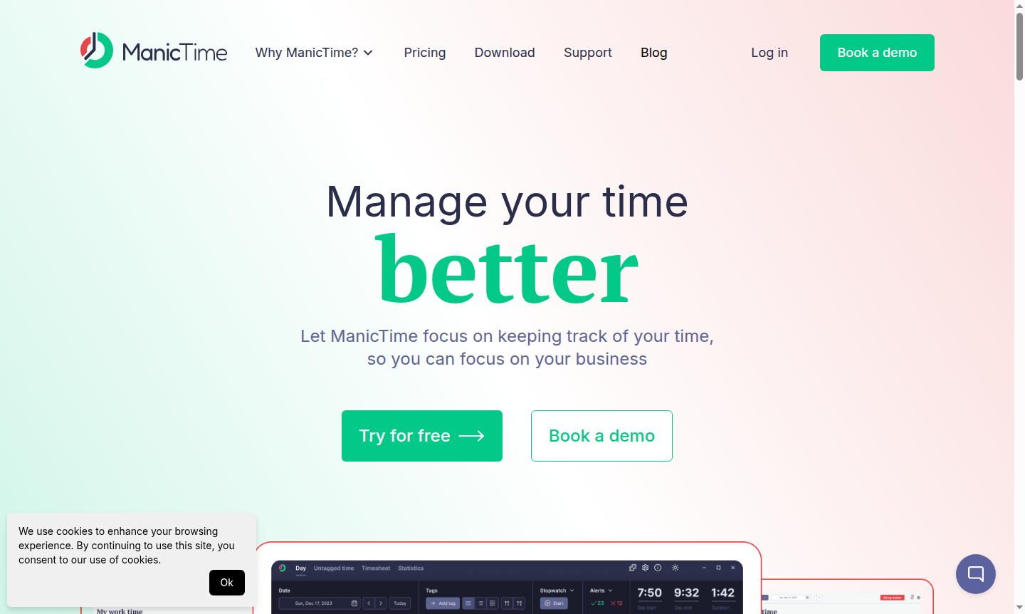 ManicTime application interface