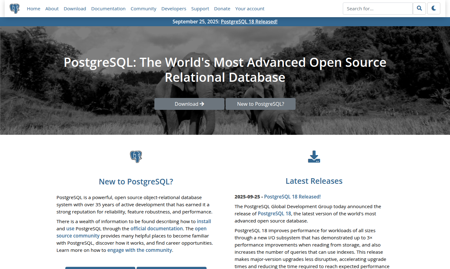 PostgreSQL database management system interface and tools overview