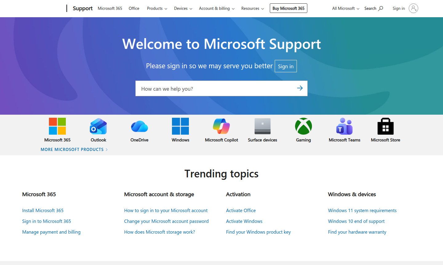 Microsoft 365 Copilot interface