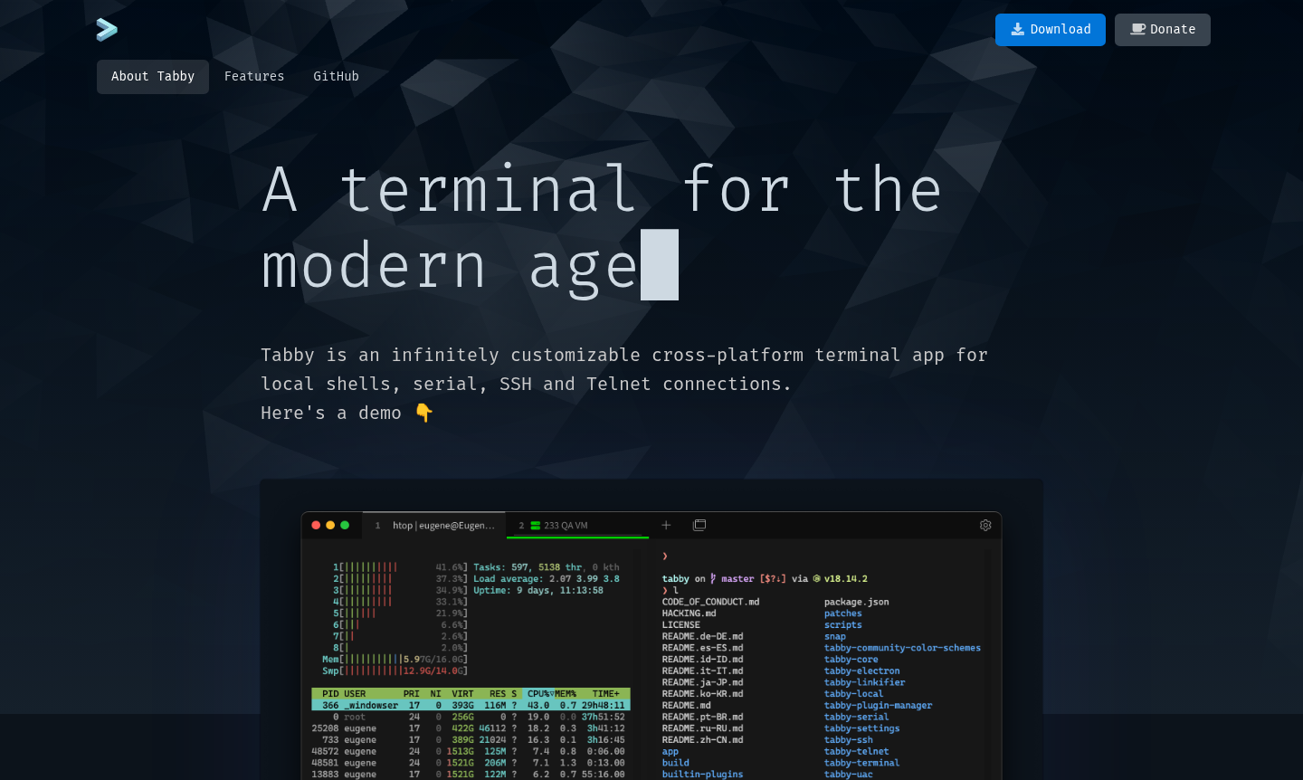Tabby terminal application interface