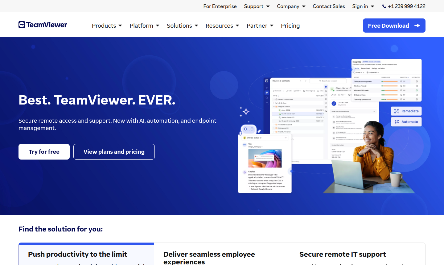 TeamViewer software interface